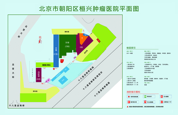 日本韩国白丝caobi视频北京市朝阳区桓兴肿瘤医院平面图